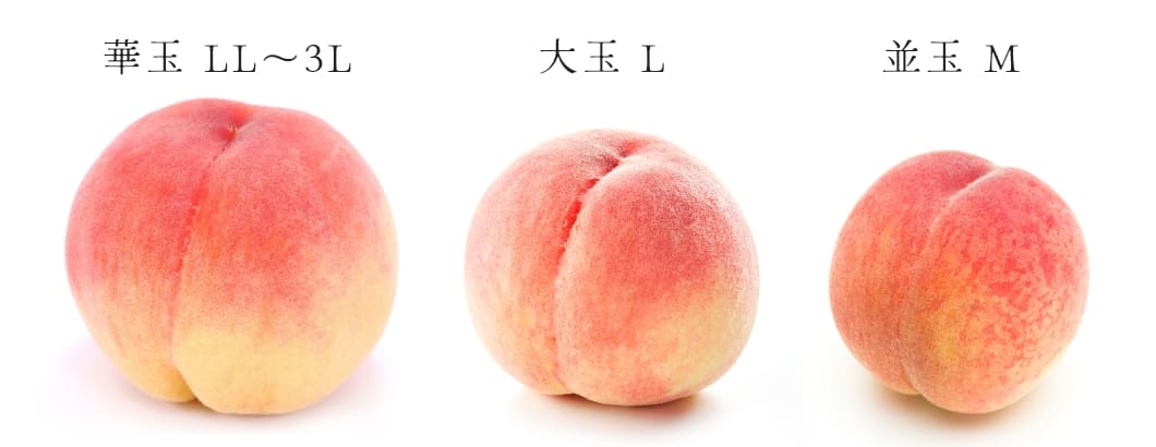 よけそ農園の桃の大きさ比較