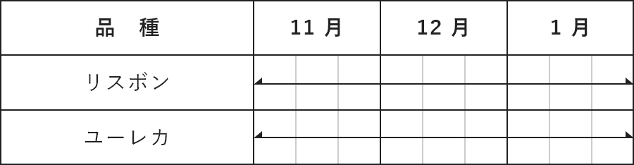 レモンの旬の時期：11月～1月