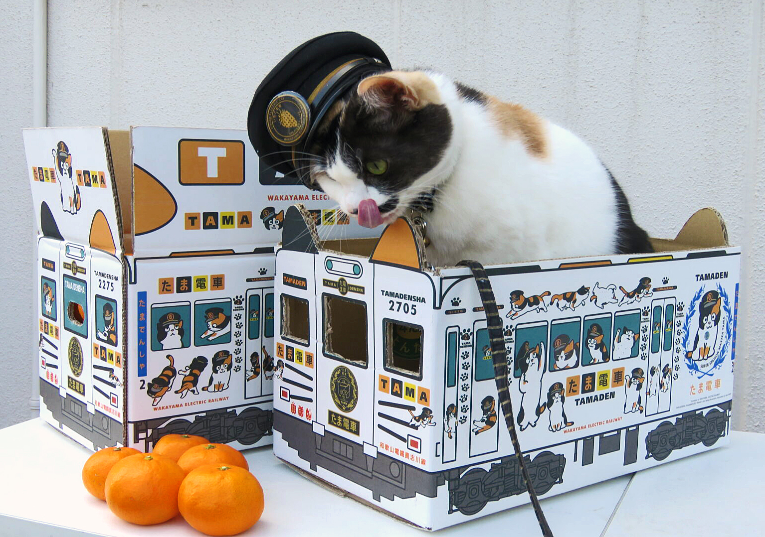 和歌山電鐵 貴志川線「沿線みかん」 | 桃とみかんの農家「よけそ農園」