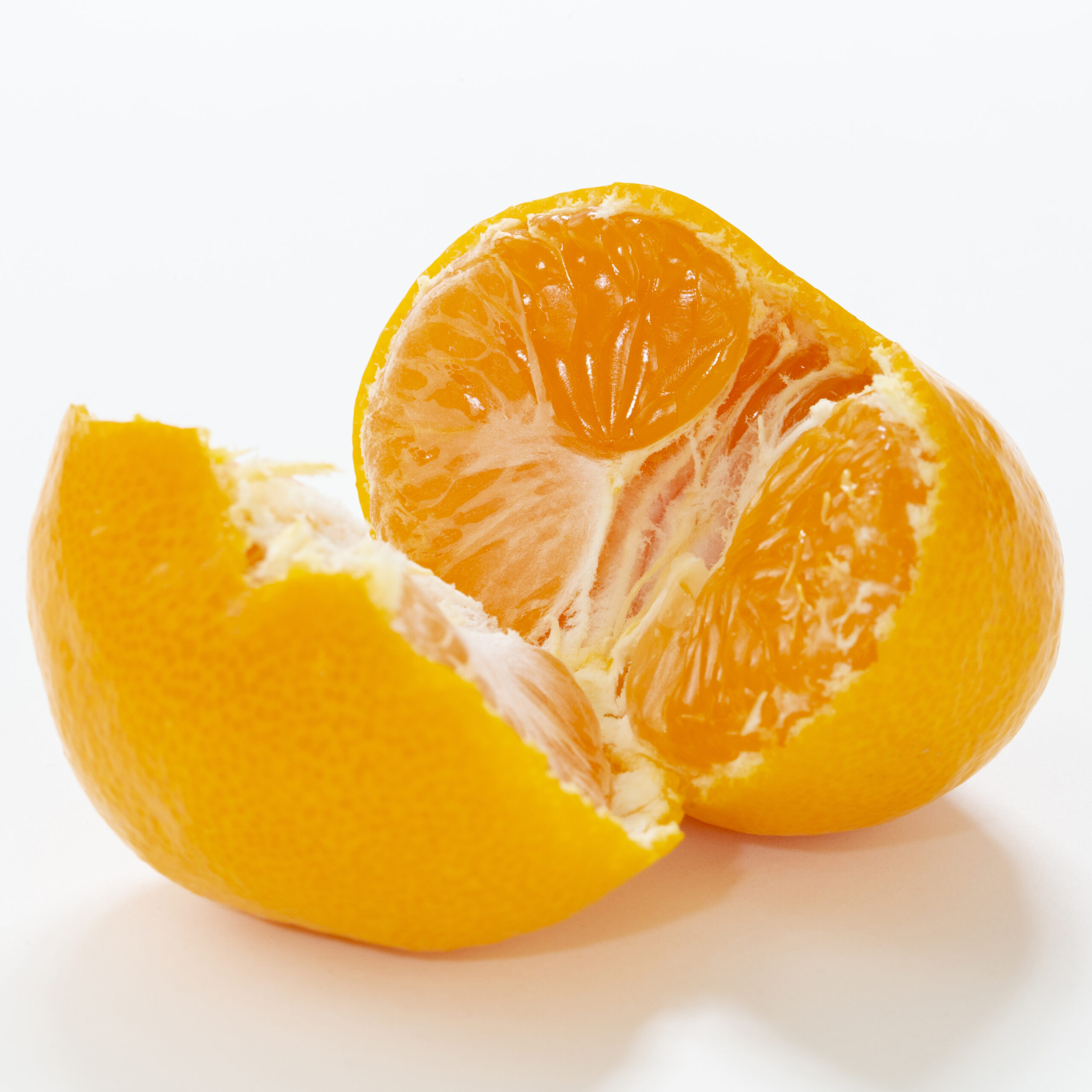 7H9A2398_1-scaled.jpg
