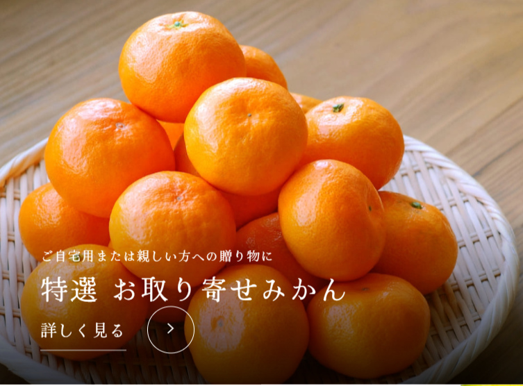 みかんの販売を開始しました！2025年度のみかんの出来は？ | 桃と 