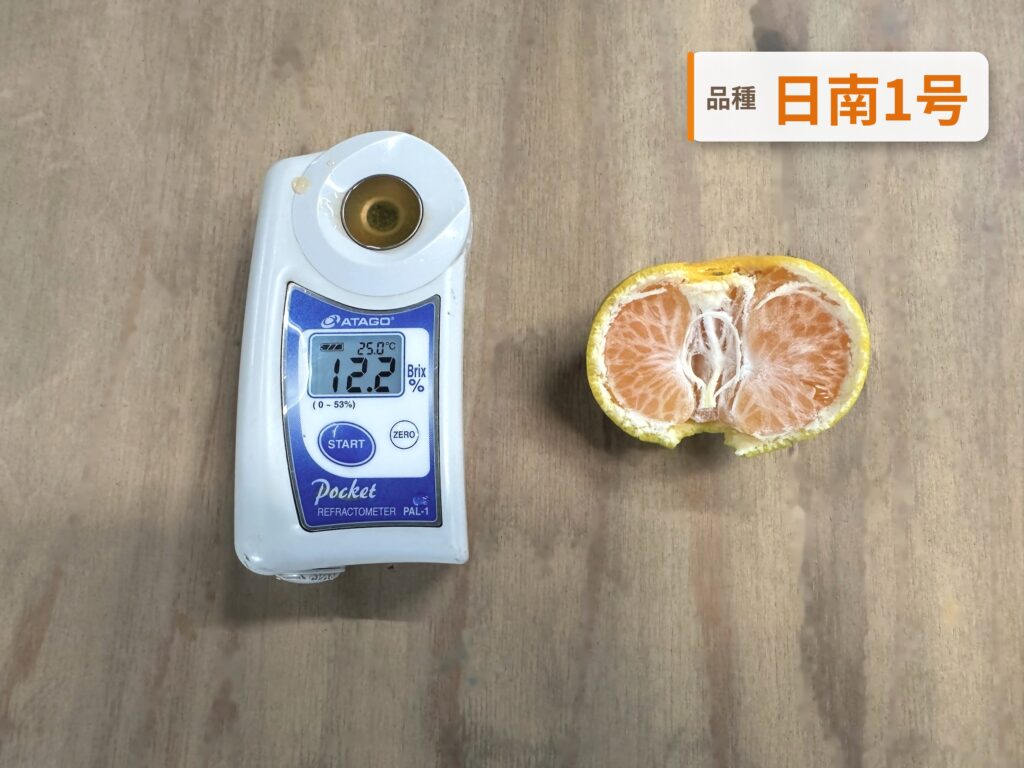 日南1号の糖度を測ったところ。糖度計の表示は12.2度