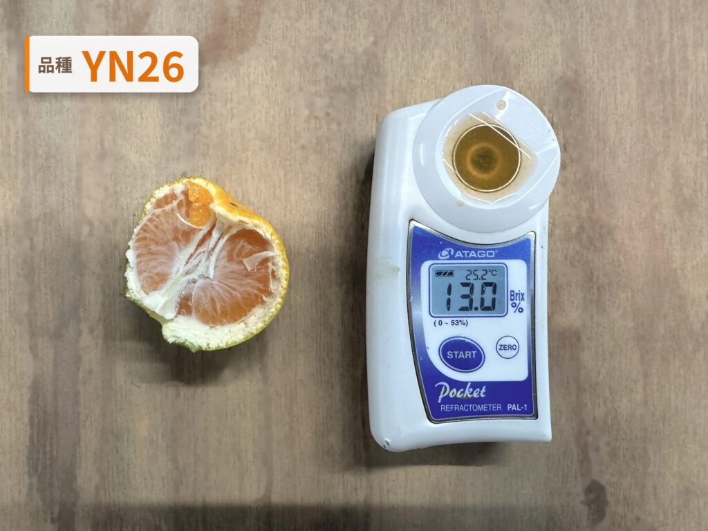 YN26の糖度を測ったところ。糖度計の表示は13.0度
